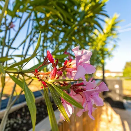 Holiday Rue Monte Dos Cucos - 2 Semesterbostad